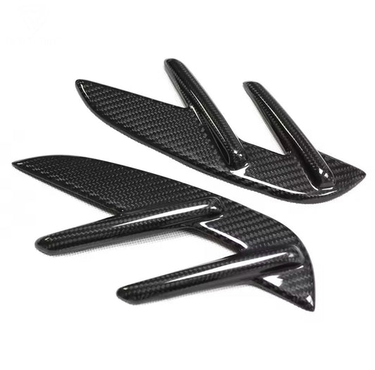 Dry Carbon Fibre Fender Trim - G Chassis