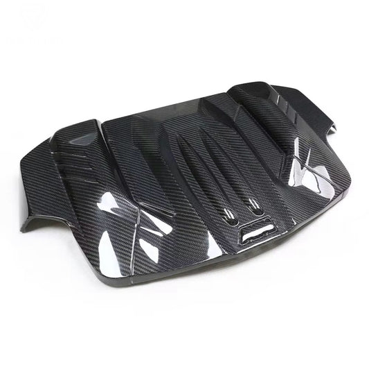 Dry Carbon Fibre Engine Cover - M5