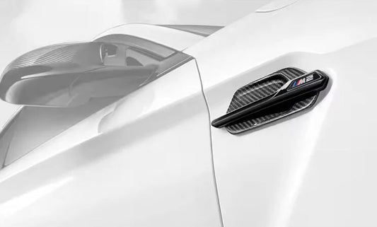 Carbon Fibre Fender Trim - M2 F87