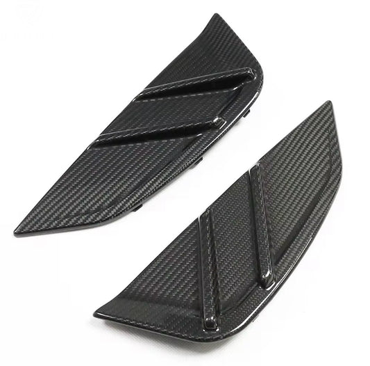 Dry Carbon Fibre Fender Trim - G Chassis