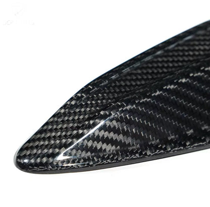 Dry Carbon Fibre Antenna Cover - G Chassis