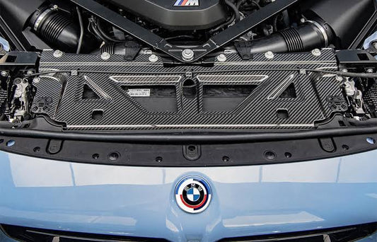 Dry Carbon Fibre Cooling Plate - M2 G87